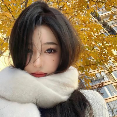 023档案